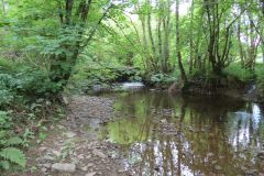 1.-Iron-Mill-stream-7