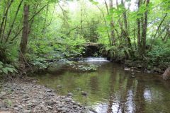 1.-Iron-Mill-stream-8