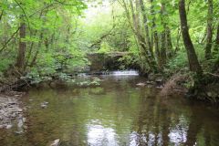 1.-Iron-Mill-stream-9