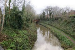 66.-Looking-downstream-from-Victoria-Road-Bridge