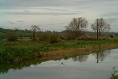 2.-Heron-downstream-from-Cow-Bridge
