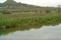 3.-Heron-downstream-from-Cow-Bridge