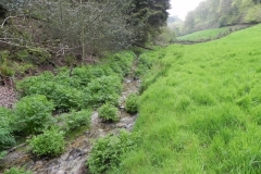 1. Flowing through Chargot Woods (11)