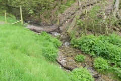 1. Flowing through Chargot Woods (12)