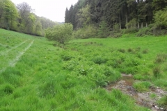 1. Flowing through Chargot Woods (13)