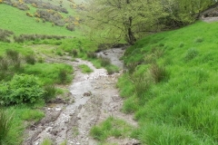 1. Flowing through Chargot Woods (15)