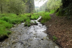 1. Flowing through Chargot Woods (9)