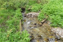 10. Flowing through Chargot Woods  (12)