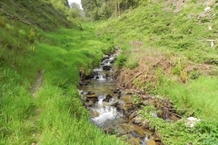 10. Flowing through Chargot Woods  (5)