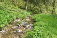 10. Flowing through Chargot Woods  (7)