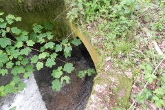 11. Chargot Woods lower culvert