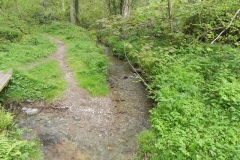 17. Downstream from ROW Footbridge 5421