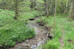 18. Downstream from ROW Footbridge 5421