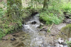 19. Downstream from ROW Footbridge 5421