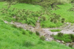 2. Stream joins from the west