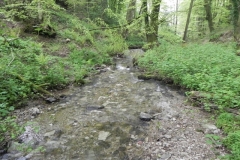 20. Upstream from Upper Pond Cottages
