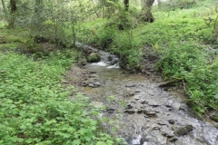 21. Upstream from Upper Pond Cottages