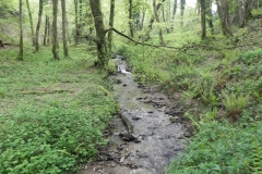 22. Upstream from Upper Pond Cottages
