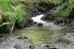 23. Upstream from Upper Pond Cottages