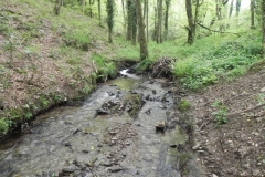 24. Upstream from Upper Pond Cottages (1)