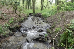 24. Upstream from Upper Pond Cottages (2)