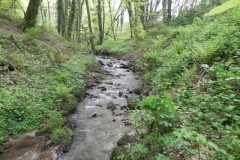 24. Upstream from Upper Pond Cottages (3)