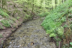 24. Upstream from Upper Pond Cottages (4)