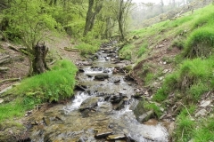 2a. Looking upstream from Chargot Woods Accommodation Bridge
