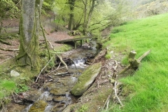 5. Looking upstream to Chargot Woods Accommodation Bridge