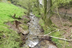6. Looking downstream from Chargot Woods Accommodation Bridge