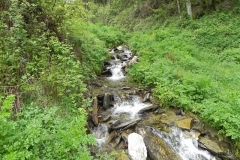 7. Flowing through Chargot Woods (6)