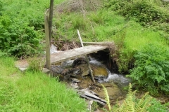 8. Chargot Woods footbridge