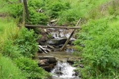 9. Chargot Woods footbridge