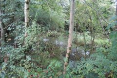 1.-Canal-bed-Greenham