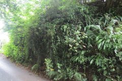 12.-Lower-Brinscott-Aqueduct-query
