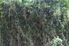 13.-Lower-Brinscott-Aqueduct-query