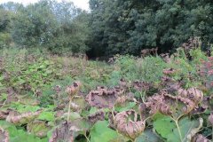 19.-Dry-canal-bed-Lowdwells