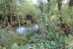 2.-Canal-bed-Greenham