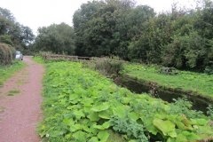 20.-Navigable-Canal-starts-Lowdwells.