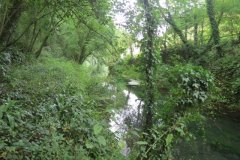 21.-Canal-between-Lowdwells-and-Way-Town-Tunnel-15