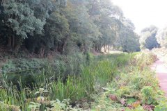 21.-Canal-between-Lowdwells-and-Way-Town-Tunnel-3