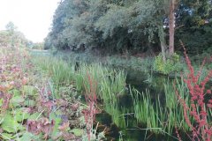 21.-Canal-between-Lowdwells-and-Way-Town-Tunnel-4