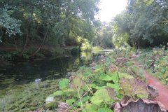 21.-Canal-between-Lowdwells-and-Way-Town-Tunnel-5