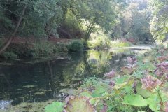 21.-Canal-between-Lowdwells-and-Way-Town-Tunnel-6