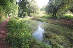 21.-Canal-between-Lowdwells-and-Way-Town-Tunnel-8
