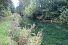 32.-Canal-between-Way-Town-and-Whipcott-Bridge-1