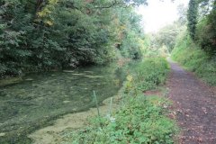 32.-Canal-between-Way-Town-and-Whipcott-Bridge-3