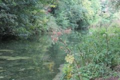 32.-Canal-between-Way-Town-and-Whipcott-Bridge-4
