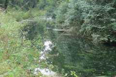 32.-Canal-between-Way-Town-and-Whipcott-Bridge-5