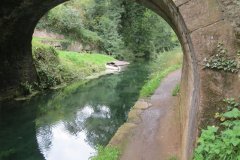 37a.-Looking-upstream-through-Whipcott-Bridge